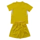 Chelsea Torwart Ausweich Trikot Set Kinder 2025-26